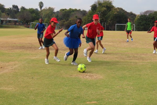 IP Inter House 22 3