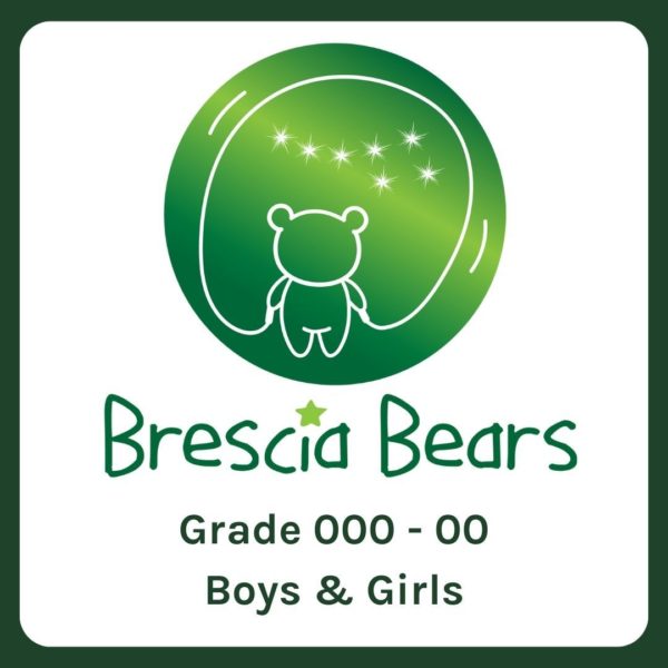 Generic Bears image with Grades