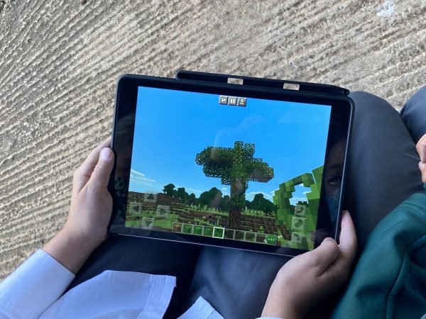 Gr 3 Avatars Minecraft 6