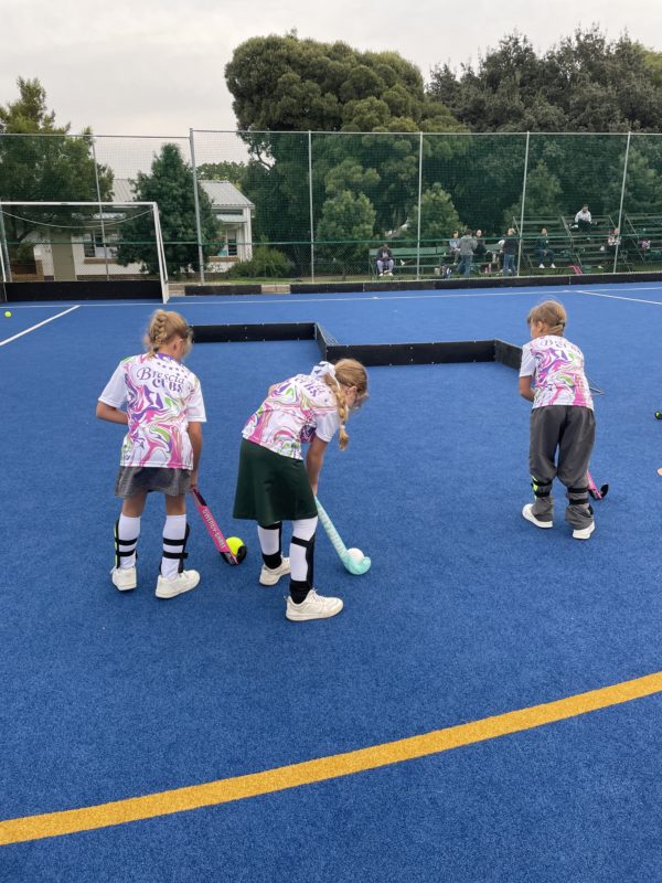 Hockey Cubs 4